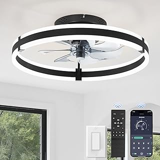 ZMISHIBO Ceiling Fans Lights Remote
